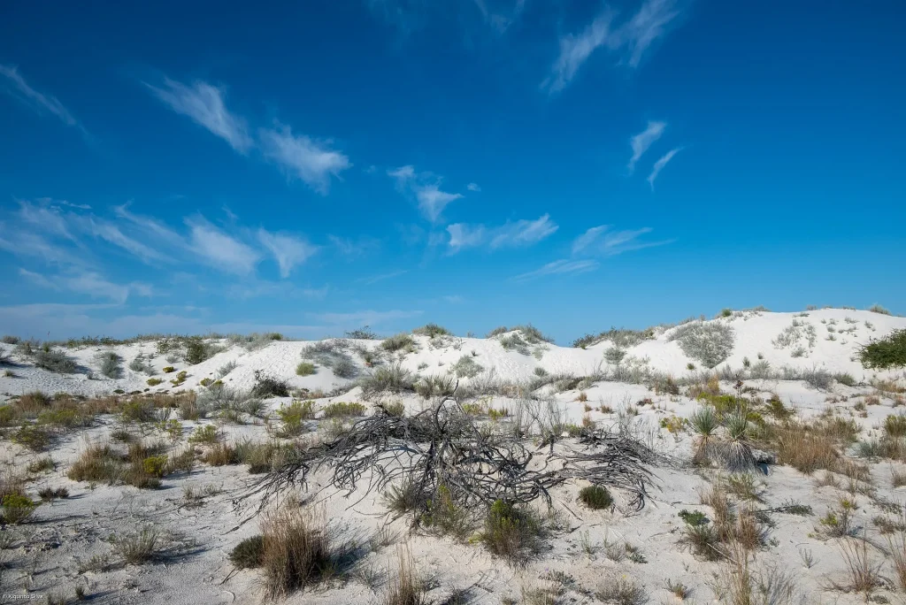 Wind-shaped white sand ridges and shadows at White Sands National Park New Mexico